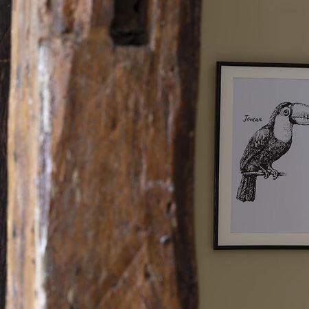 Le Toucan By Cocoonr Rennes Dış mekan fotoğraf