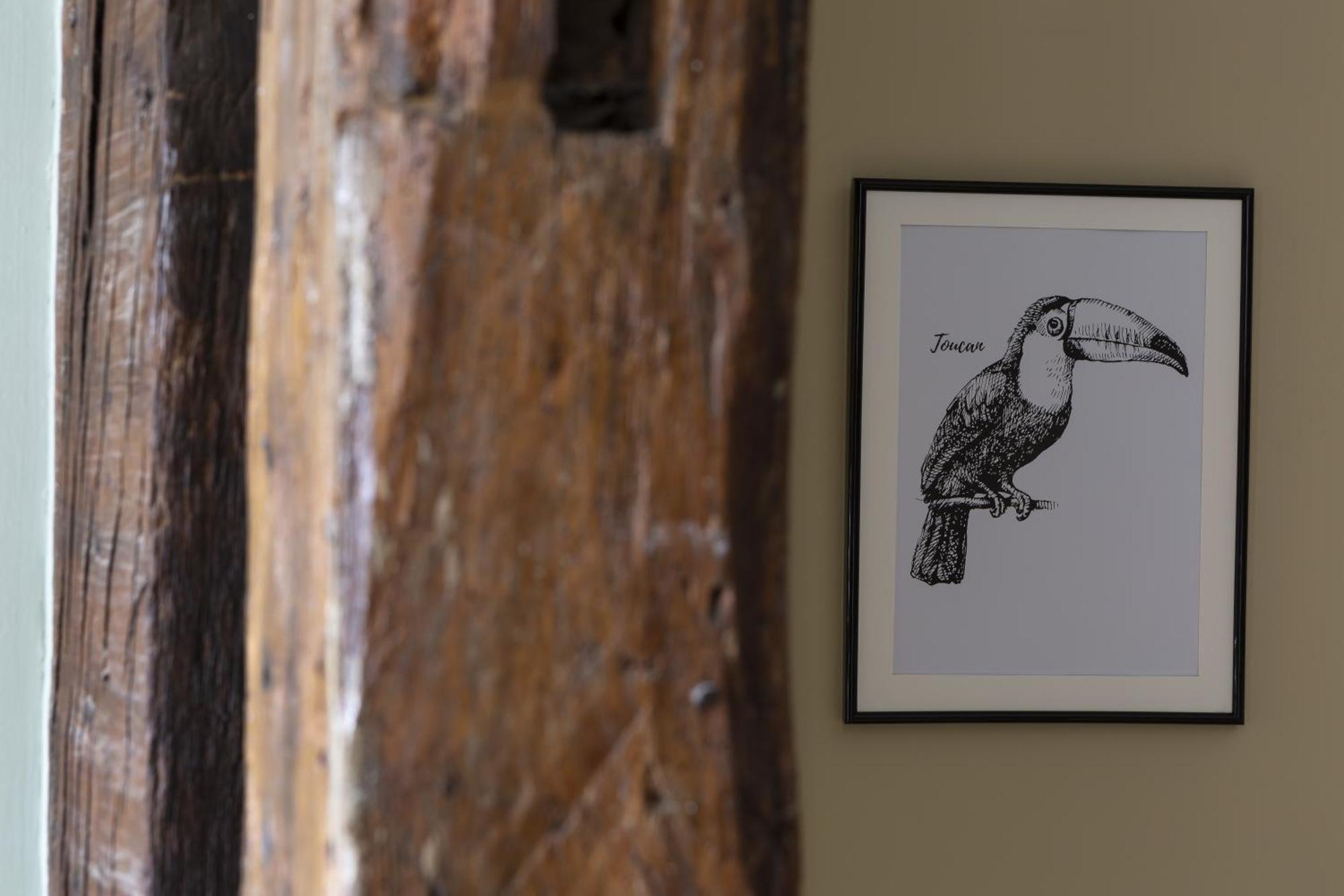 Le Toucan By Cocoonr Rennes Dış mekan fotoğraf